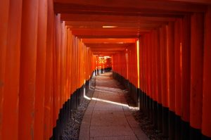 京都駅からひと駅花かんざし　伏見稲荷大社